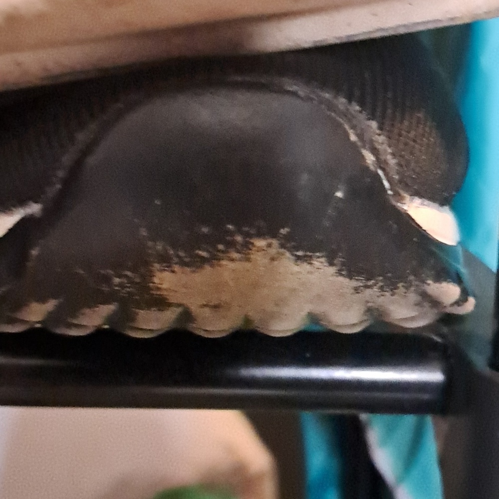 Dolce & Gabbana Sorrento Size 38/7.5 Black/White Knit Fabric Slip On - Picture 10 of 11